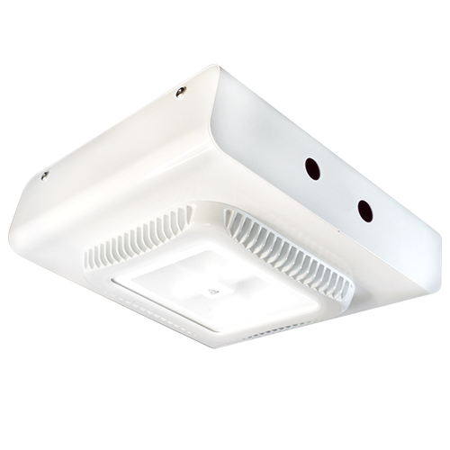 PDL3-mini